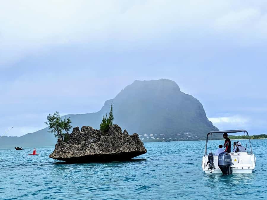 Private Dolphin Swim/Snorkeling & Lunch on Benitiers island - Key points to know before booking