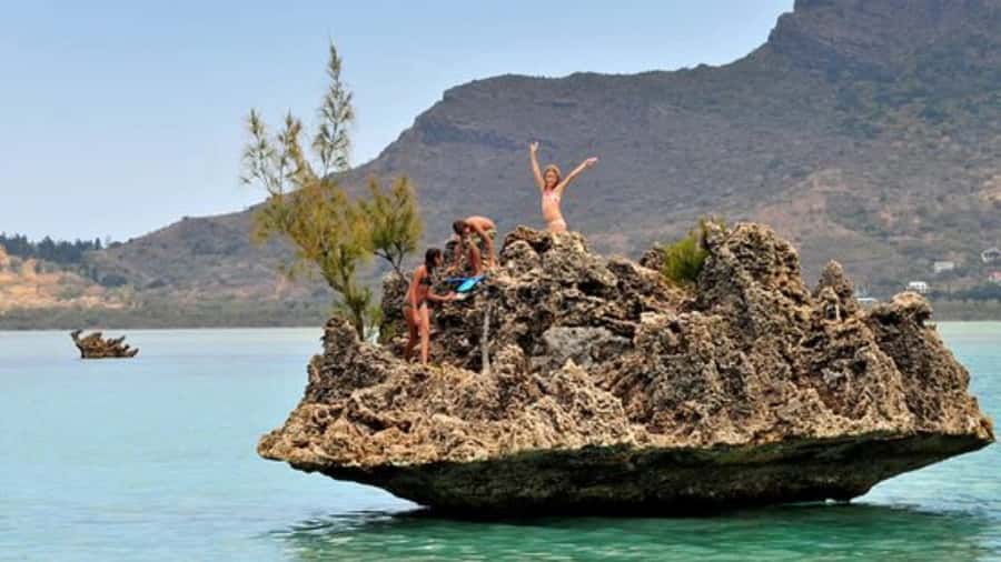 Private Dolphin Swim/Snorkeling & Lunch on Benitiers island - A seven-hour day built around the southwest coast