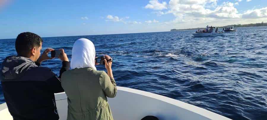 Private Dolphin Watching/Swimming with Halal Lunch on Island - Starting at Tamarin Bay by private speedboat