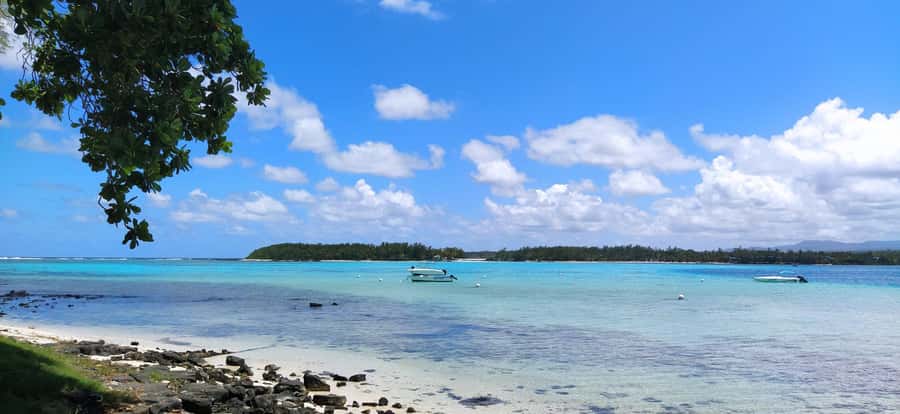 Private Dolphin Watching/Swimming with Halal Lunch on Island - Snorkeling with time to set your own pace
