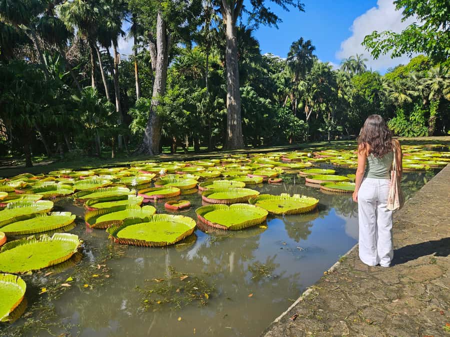 PRIVATE FULL-DAY NORTH AND SOUTH TOUR - Rhumerie de Chamarel, an optional taste of Mauritius