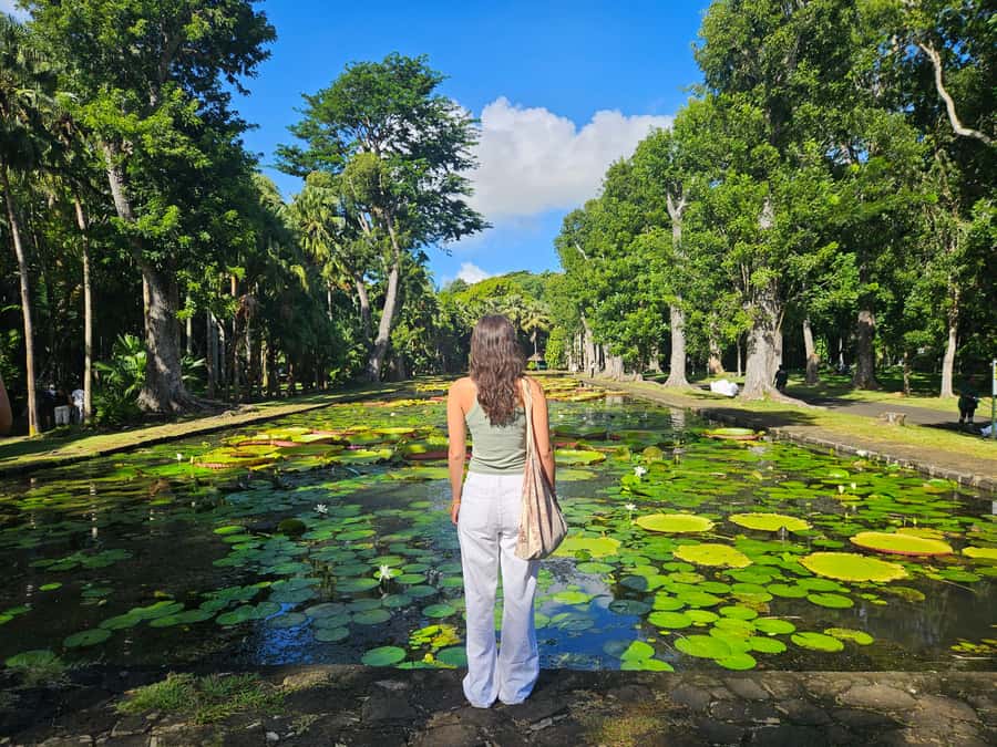 PRIVATE FULL-DAY NORTH AND SOUTH TOUR - Timing, comfort, and practical planning