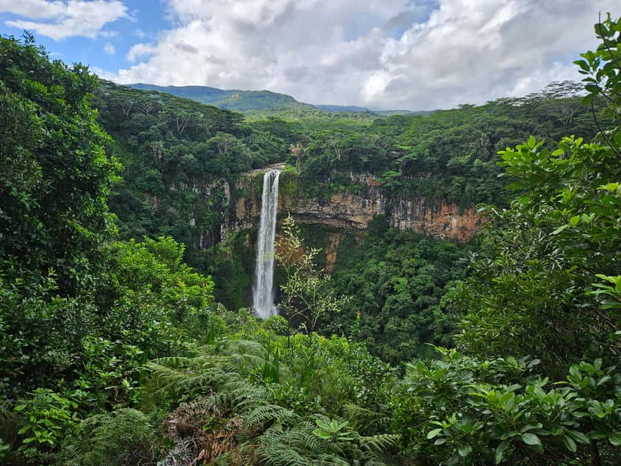 PRIVATE FULL-DAY NORTH AND SOUTH TOUR - Pamplemousses Botanical Garden and the northern start