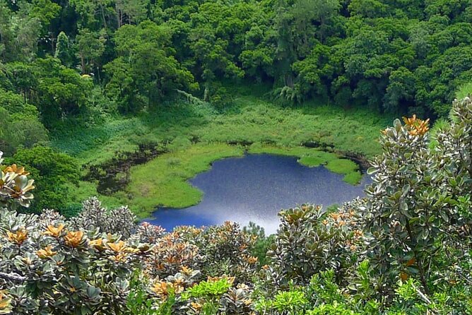 Private Full Day Tour in Mauritius - 9:00 am Start and the Shape of the Day