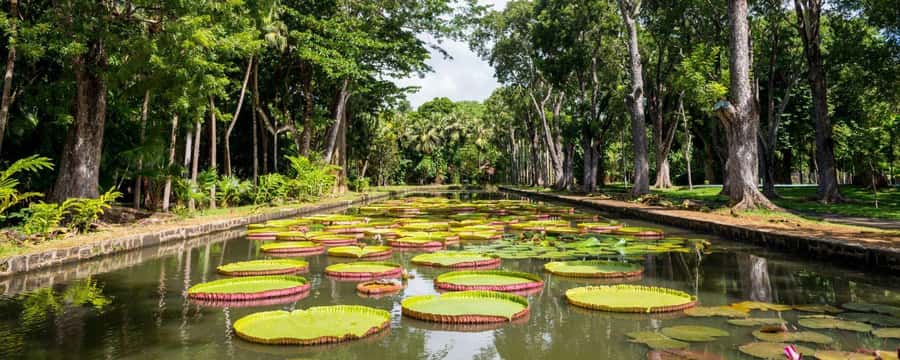 Private Full Day Tour of Port Louis and Northern - Why this makes a useful first day in Mauritius
