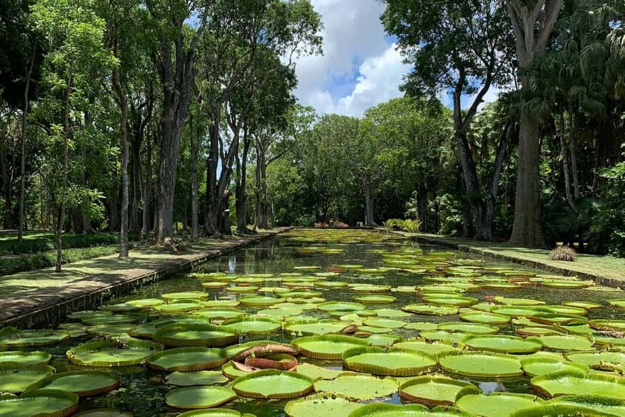Private Full Day Tour of Port Louis and Northern - Is $84 per person good value?