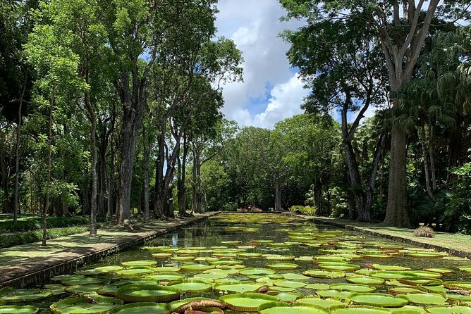 Private Guided Tour of Northern Mauritius with Shopping in Port Louis - Caudan Waterfront and the limits of shopping time