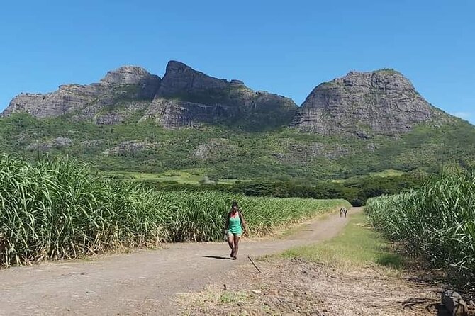 Private hike to the mountain of three mamelles - What the private format adds at $72.15