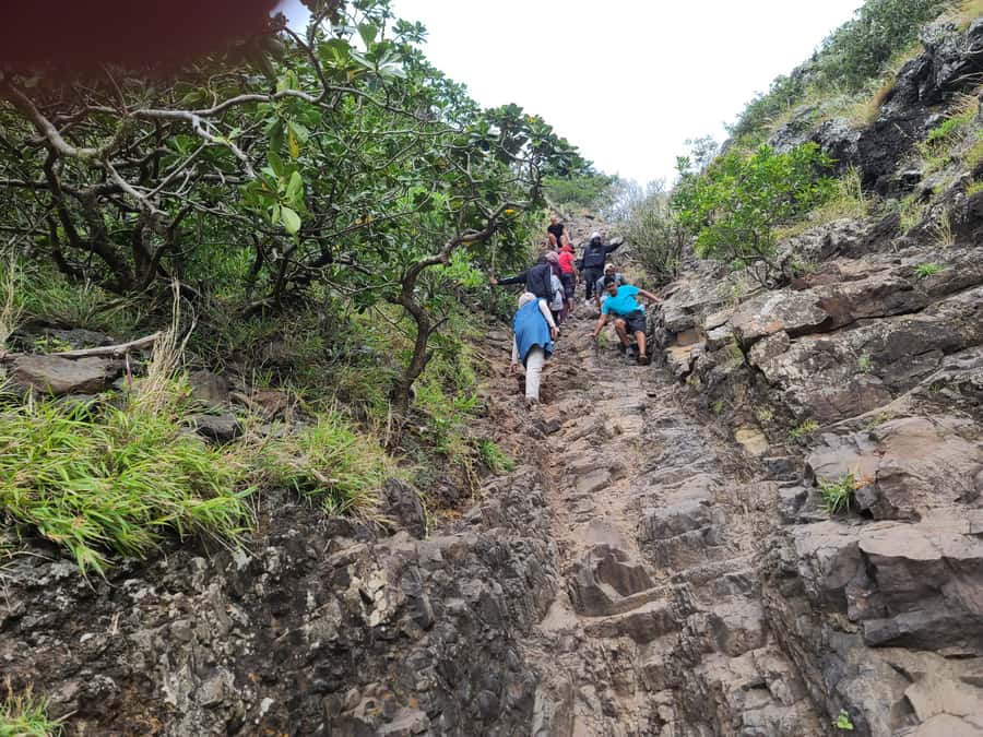 PRIVATE LeMorne Mountain Picturesque Hike-UNESCO Recognised - Reaching the Upper Viewpoints
