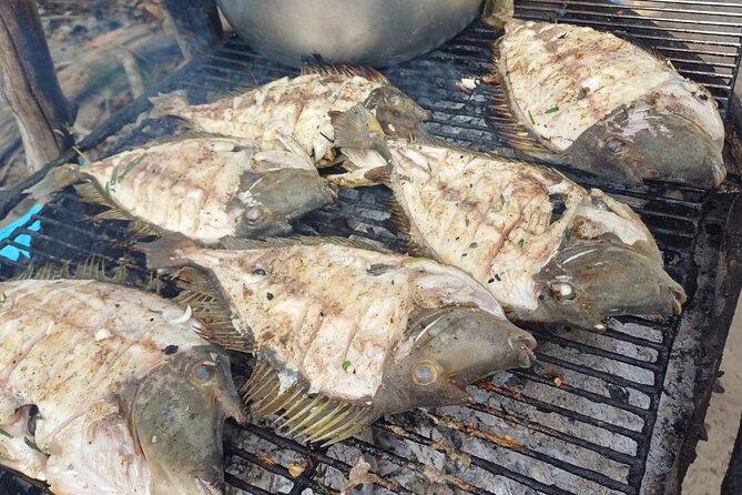 Private Morning Dolphin Watching Snorkeling and Seafood BBQ - Quiet island time after lunch