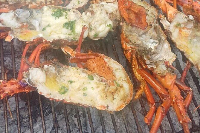 Private Morning Dolphin Watching Snorkeling and Seafood BBQ - What the $585.71 group price really buys
