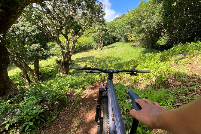 Private Mountain Biking Experience in the Wild South of Mauritius - Getting Set Up With the Right Bike
