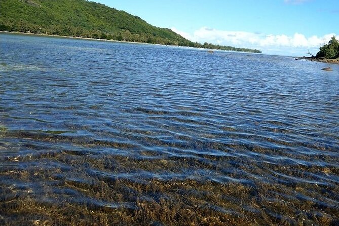 Private southwest of Mauritius: Barbecue Lunch at Îlot Fourneau - Why this private day works well