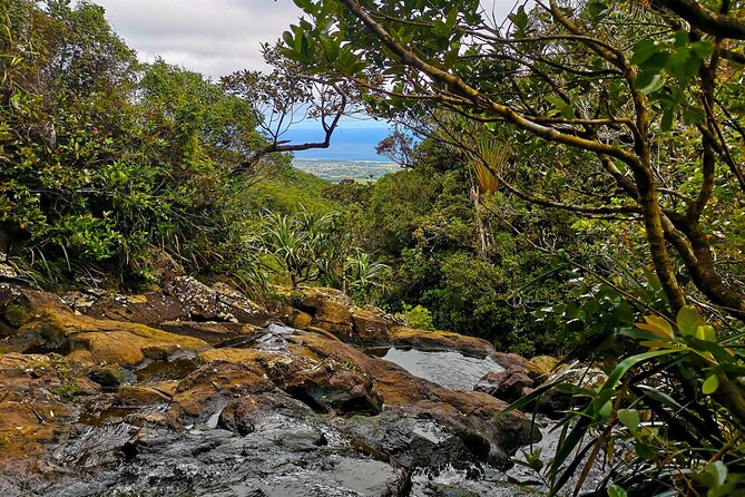 Private southwest of Mauritius: Barbecue Lunch at Îlot Fourneau - Mare aux Vacoas Reservoir in the forest