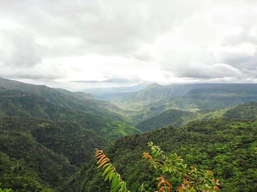 Private Southwest Tour with Local Lunch & Entrance Fees - Chamarel’s 7-Coloured Earth
