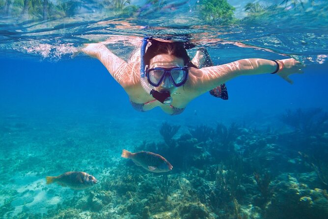 Private speed boat to Ile aux Cerfs full-day Incl: Lunch & Transfer - What the service record tells you