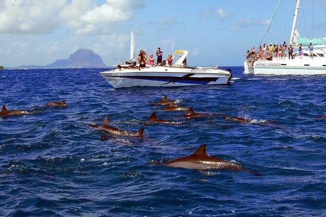 Private Speed Boat Tour and Dolphin Encounter at Ile aux Benitier - Lunch and beach time at Ile aux Benitiers