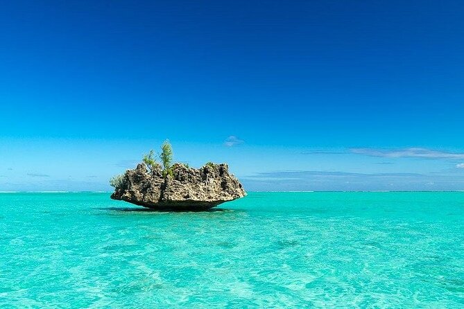 Private Speed Boat Tour and Dolphin Encounter at Ile aux Benitier - What the $312.02 price really includes