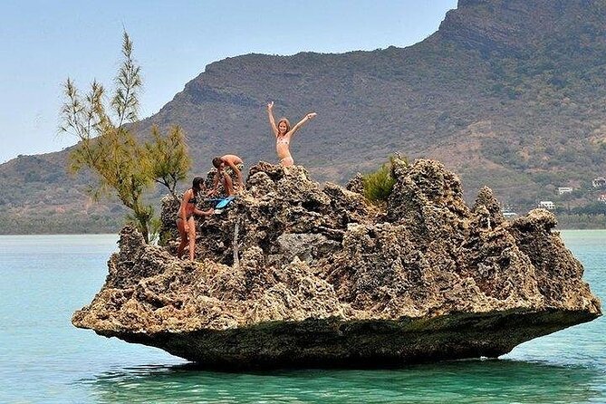 Private Speed Boat Tour and Dolphin Encounter at Ile aux Benitier - Should you book the dolphin and Benitiers tour?