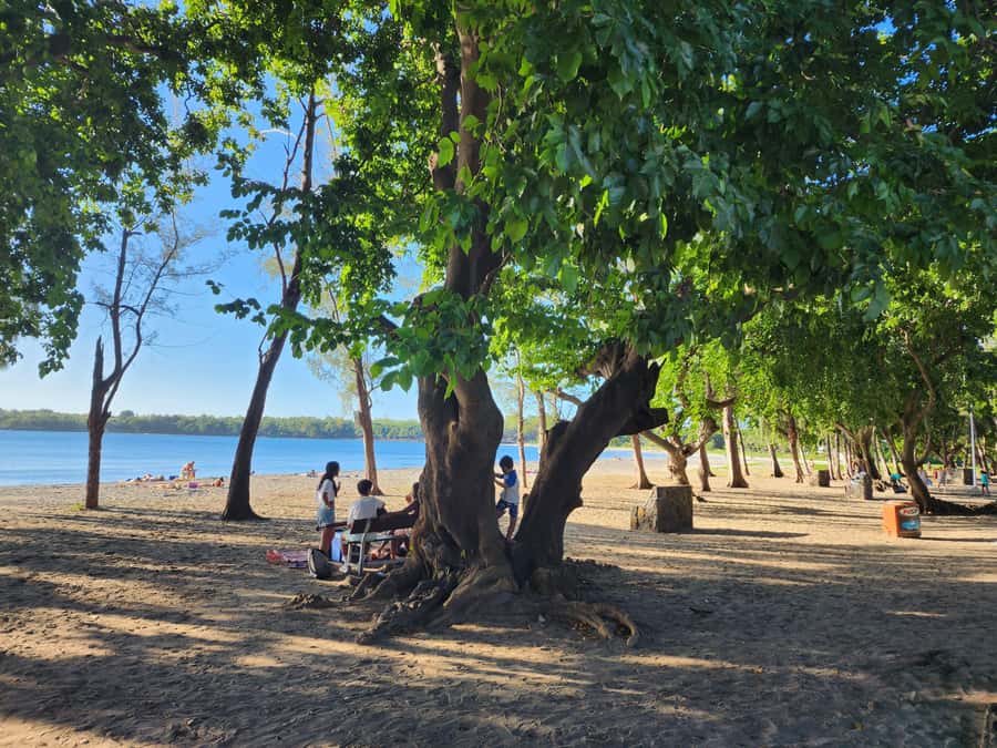 Private Sunset Dinner with Snorkeling on the west coast - FAQ