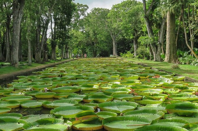 Private Tour in Northern Mauritius - Why this northern route works