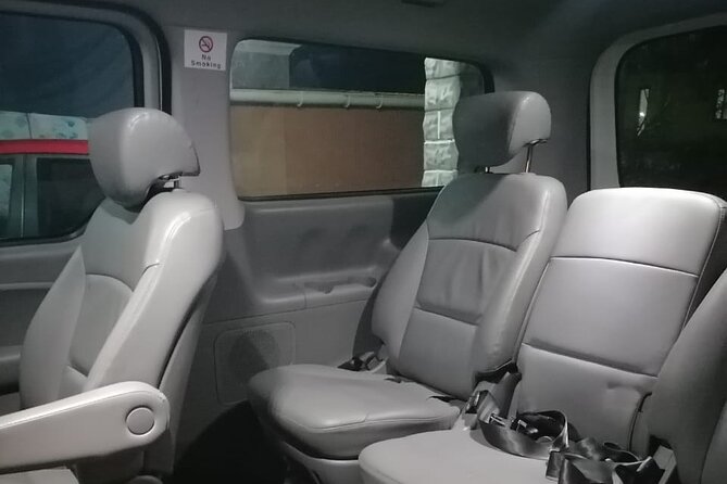 Private Transfer from Airport to Hotel in Mauritius - Luggage, child seats, and special requests