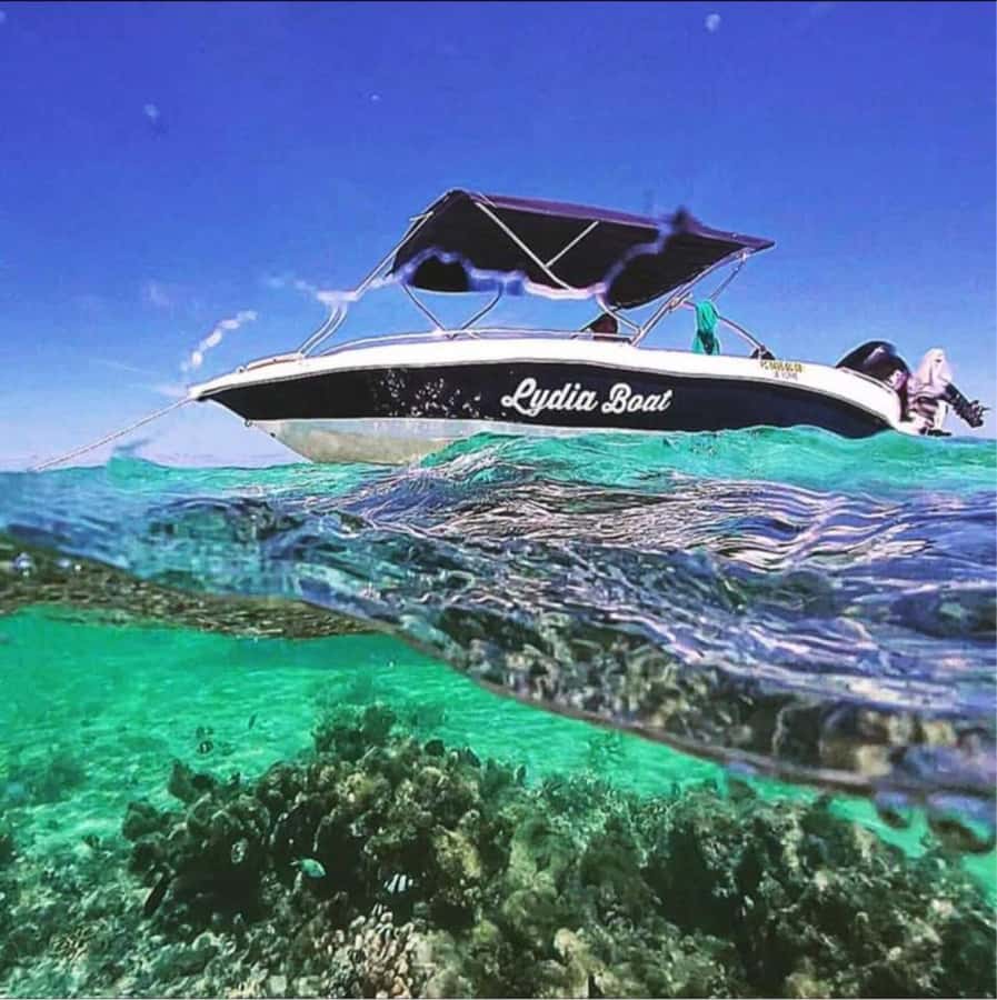 Private :Whales and dolphins watching/Swimming with dolphins - Should you book Lydia Boat Mauritius?