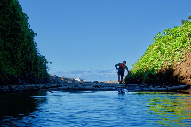 Randonnée - Le Sud Sauvage - A three-hour route built around water
