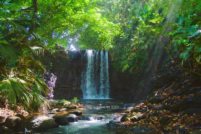 Randonnée - Le Sud Sauvage - Forest, deserted beaches, and volcanic cliffs