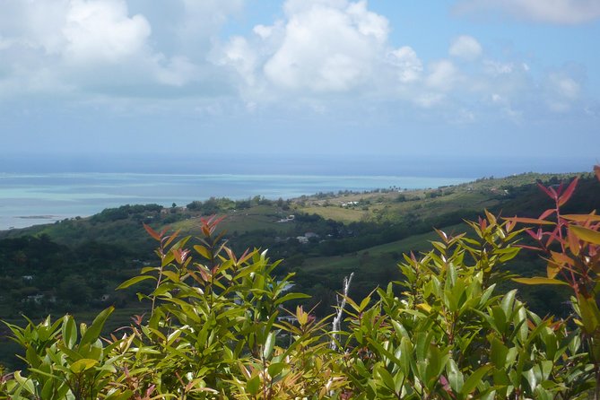 Rodrigues Island - ORIGINE Guided Tour - Port Mathurin, from colony days to modern life