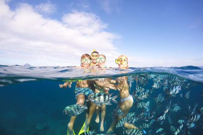 Sailing Catamaran Cruises - Key things to know before booking