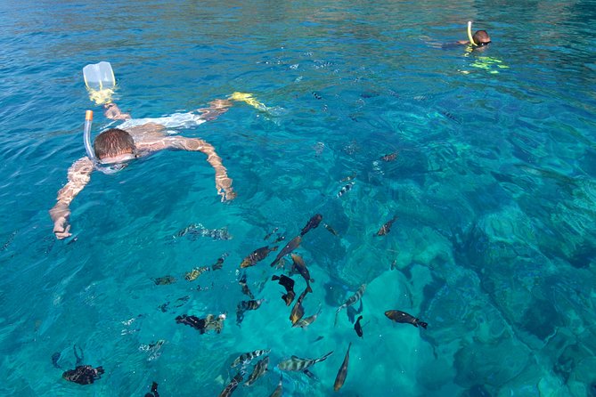 Sailing Catamaran Cruises - The seafood barbecue served on board