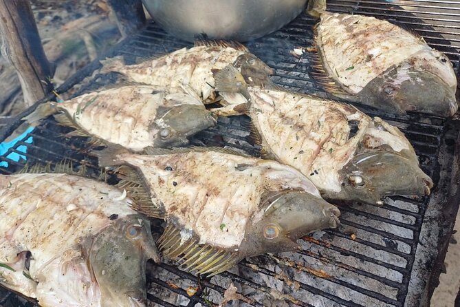 Shared 10 Pax Boat Tour: Dolphin Watching, Snorkelling and BBQ - Beach time after the meal