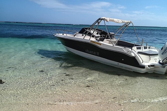 Shared 10 Pax Boat Tour: Dolphin Watching, Snorkelling and BBQ - Who should book this Mauritius boat trip?