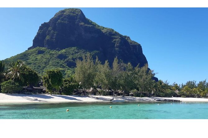 Signature Experience: Dolphins and Flavors of the Sea - A full sea day under Le Morne