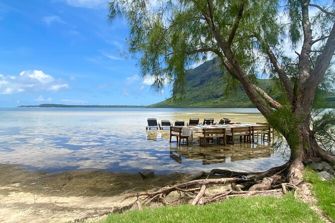 Signature Experience: Dolphins and Flavors of the Sea - Lunch on Ile aux Benitiers