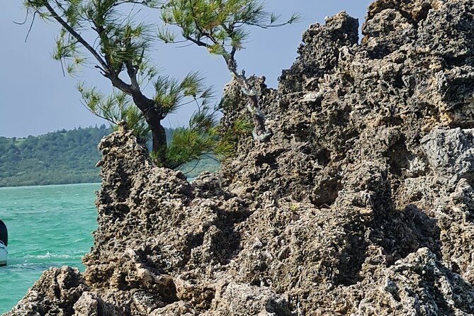Snorkel with Dolphins, Lunch on Benitiers island, Speedboat - Ile aux Benitiers and the barbecue lunch
