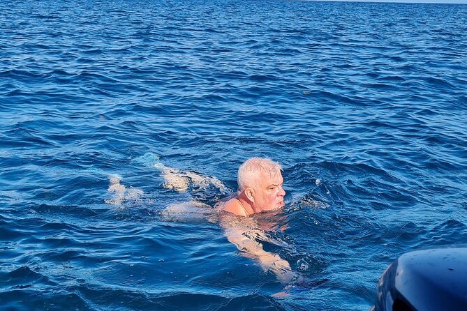Snorkel with Dolphins, Lunch on Benitiers island, Speedboat - Speedboat scenery and the mountain views