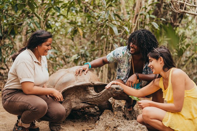South East : OCÉANE Private Eco Tour to Ile aux Aigrettes - What the private price means for your group