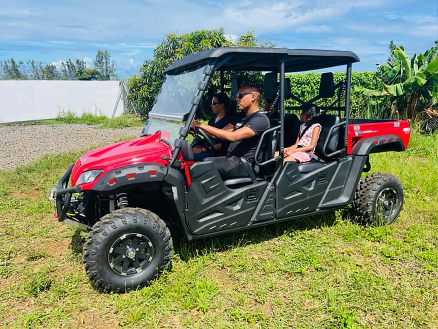 South Mauritius : Buggy Tour - Royal Palm Forest, beauty with a few practical warnings