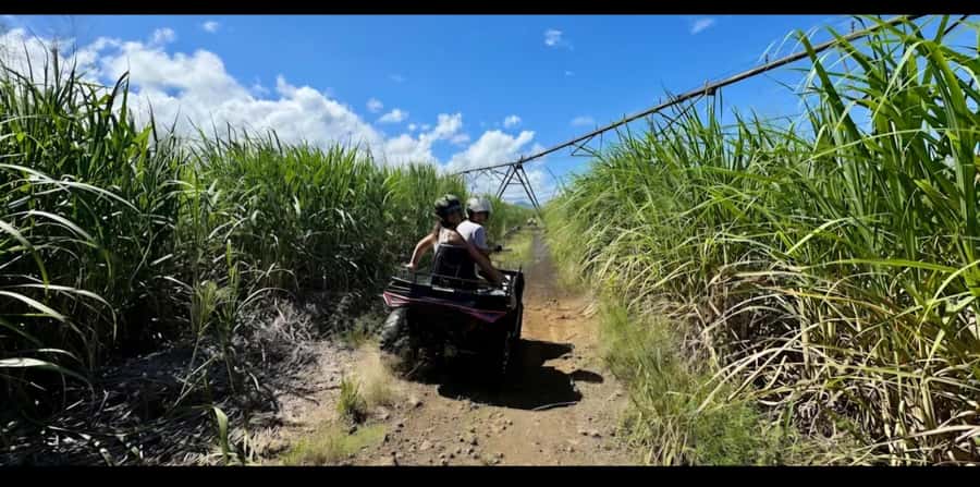 South of Mauritius: Quad Bike Tour - Pointe Vacoas and the coastal tracks