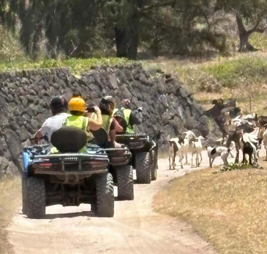 South of Mauritius: Quad Bike Tour - The guides and the safety side