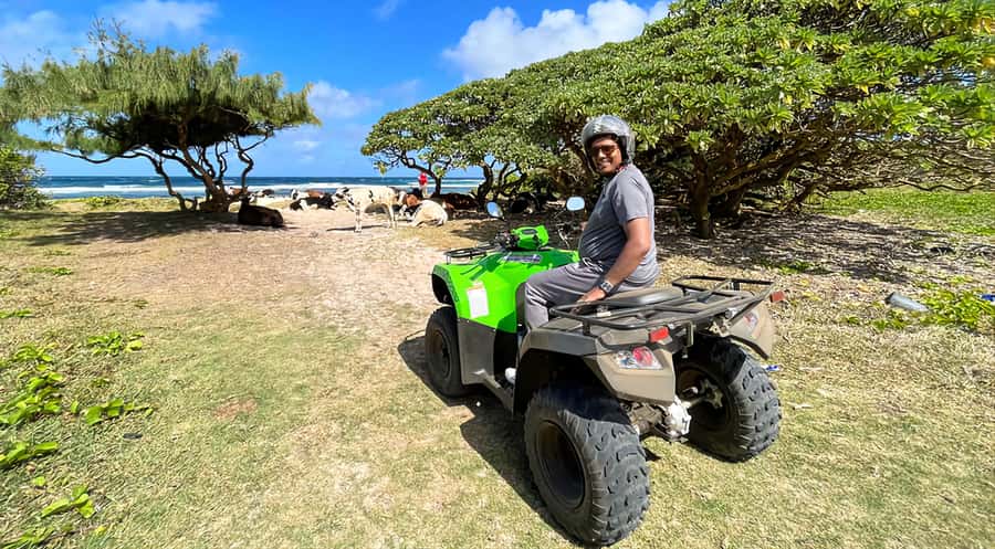 South Of Mauritius Quadbike and Snorkeling Blue Bay - Royal Palm Forest adds a change of scenery