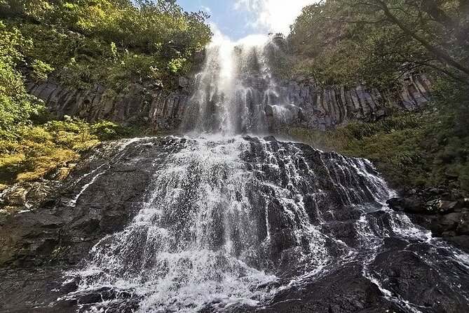 South-West of Mauritius Private Full-Day Scenic Tour - Bassin Blanc and the forest road