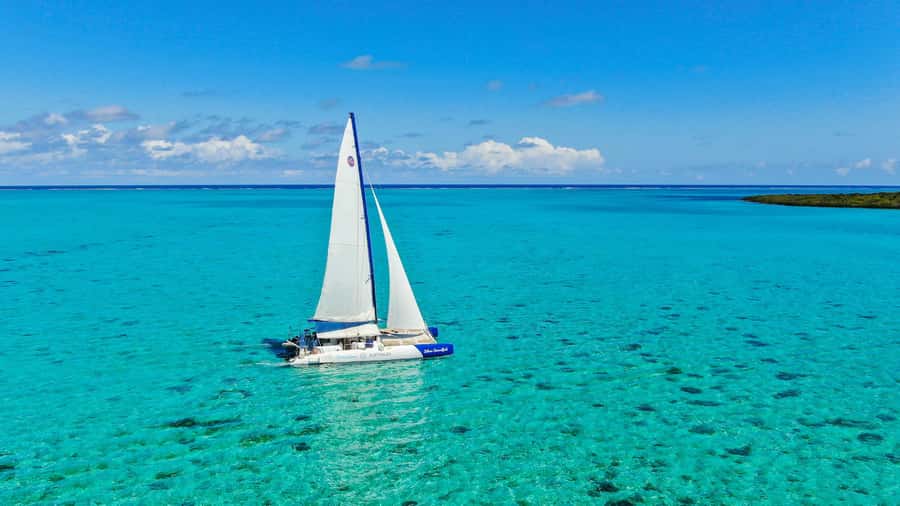 Southeast of Mauritius: Catamaran Cruise w/ BBQ Lunch - Practical Tips for a Smoother Day