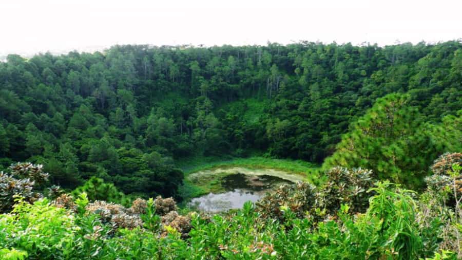 Southern Mauritius: Volcanoes & Coloured Earth - Black River Gorges: scenery in a short window