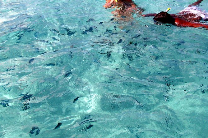 Spectacular Catamaran trip to Ile Aux Cerf with Lunch & Transfer - Lunch, rum, and the social side of the boat