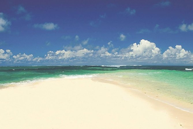 Spectacular Catamaran trip to Ile Aux Cerf with Lunch & Transfer - Ile Aux Cerfs: beach time with choices