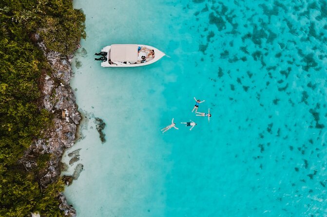 Speedboat Ile aux Cerfs + GRSE Waterfall, BBQ and Bar - The guide question deserves attention