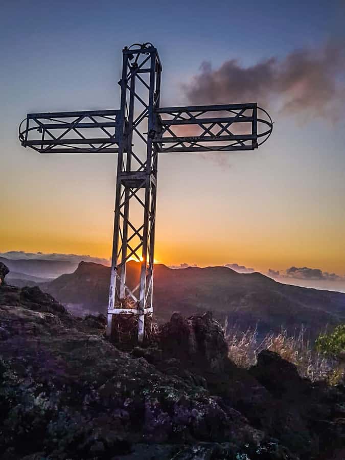 Sunrise hike at Le Morne Brabant with Local Guides (UNESCO) - The first hour: briefing, forest, and local plants